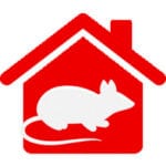 Pest2Kill